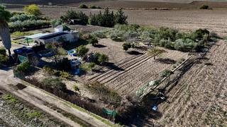 Terreno residencial en Cabezas de San Juan (Las). Terreno rustico en zona el portichuelo