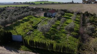 Masia a Cabezas de San Juan (Las). Finca rustica en zona torralva