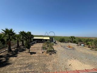 Masia a Cabezas de San Juan (Las). Parcela rustica en zona la vega