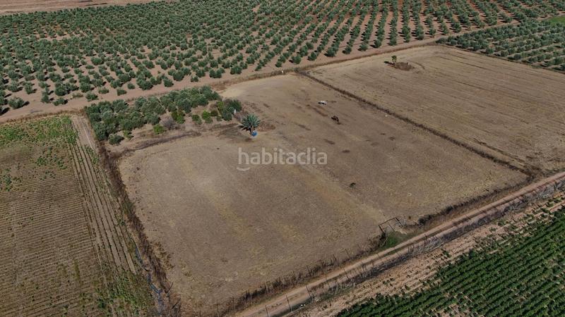 Foto 40a15495-bfb7-400b-9779-e8014c544dcf. Terreno residencial parcela rustica regadío en Centro - Doña Mercedes Dos Hermanas