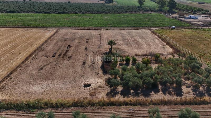 Foto 7a673cee-6d24-4be0-b216-163261e7784a. Terreno residencial parcela rustica regadío en Centro - Doña Mercedes Dos Hermanas