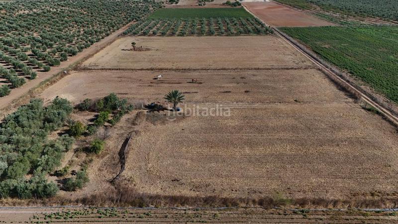 Foto 8fe0deb9-9276-478e-b13d-bb8fc53fca1d. Terreno residencial parcela rustica regadío en Centro - Doña Mercedes Dos Hermanas