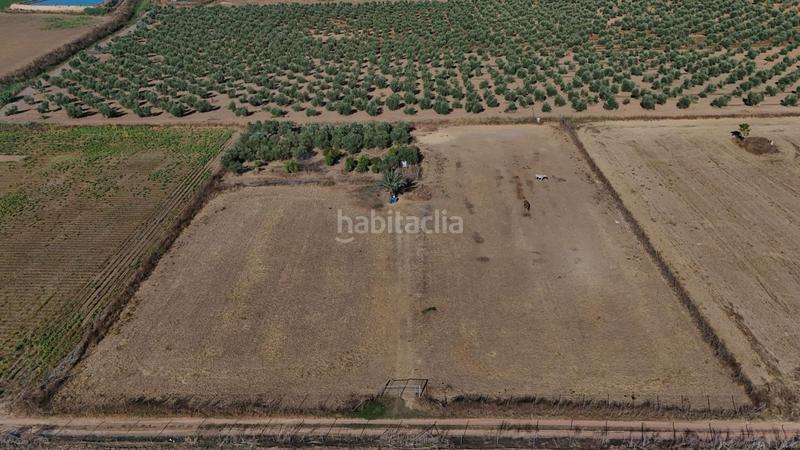 Foto 9627654e-8e18-4920-a1ca-0a90a4eb982f. Terreno residencial parcela rustica regadío en Centro - Doña Mercedes Dos Hermanas
