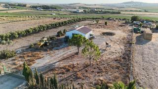 Masia a Cabezas de San Juan (Las). Parcela rústica zona torralva