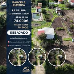 Masia a Cabezas de San Juan (Las). Finca rústica en zona la salina