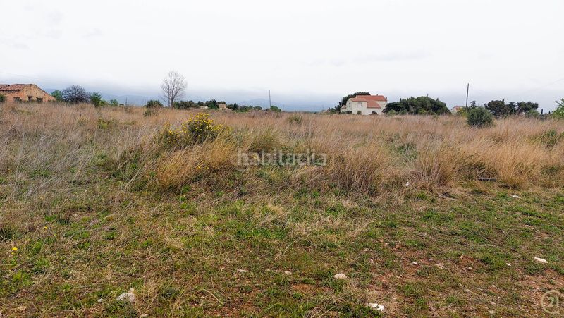 Foto 1bfe9793-85fa-465c-b904-b1e9af875589. Terreno residencial en camí d'alio 27 parcela urbanizable de 16.000 m junto a la c37 ideal para proyecto hotelero o terciario en Pla de Santa Maria (El)