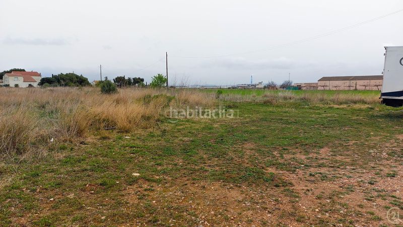 Foto 89bd73e5-e889-456e-a98a-eb00d07954a8. Terreno residencial en camí d'alio 27 parcela urbanizable de 16.000 m junto a la c37 ideal para proyecto hotelero o terciario en Pla de Santa Maria (El)