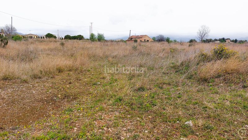 Foto add49129-f4c9-48df-a7a0-86d9780dbcd9. Terreno residencial en camí d'alio 27 parcela urbanizable de 16.000 m junto a la c37 ideal para proyecto hotelero o terciario en Pla de Santa Maria (El)