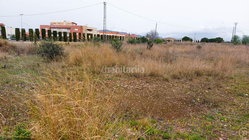 Foto d24b1a75-82b3-4602-a233-bf19d5c9724b. Terreno residencial en camí d'alio 27 parcela urbanizable de 16.000 m junto a la c37 ideal para proyecto hotelero o terciario en Pla de Santa Maria (El)