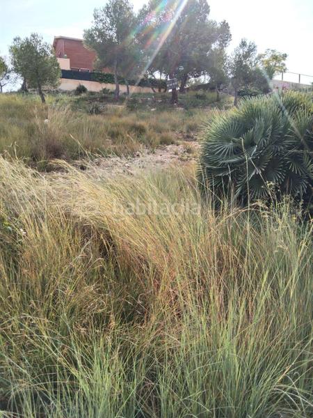 Foto 9cffe10e-7bb0-4194-a85f-2bc044550a58. Terrain résidentiel dans calle ramon casas 22 dans Roda de Barà