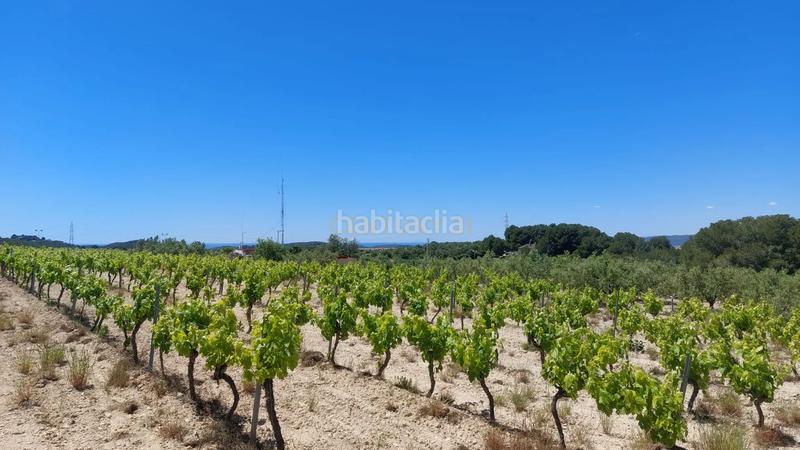 Foto 29cd72aa-7d5d-4e8a-a5c7-8625eb80db3a. Maison dans major 30 dans Castellet i la Gornal