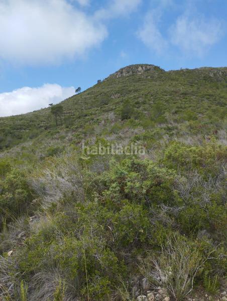 Foto 74c7230f-eede-4518-8a9a-6c09b093cb96. Maison dans polígono 14 14 dans Montmell (El)