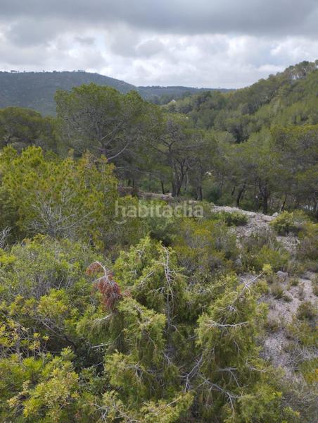 Foto d0a13e70-aa29-4698-9c80-9182c6d17271. Maison dans polígono 14 14 dans Montmell (El)