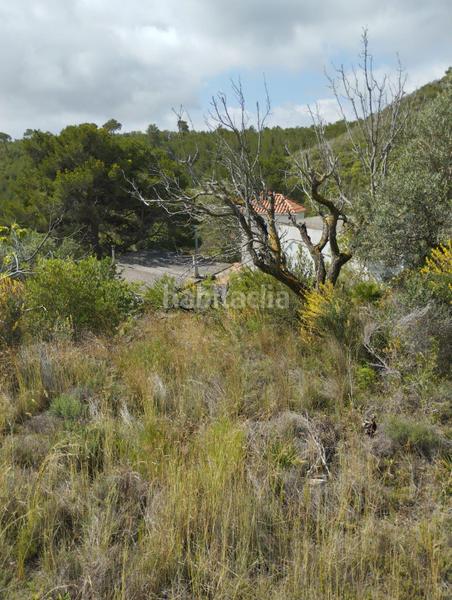 Foto e2058f0c-0aea-4993-8293-8b5fe0f36903. Maison dans polígono 14 14 dans Montmell (El)