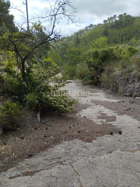 Foto f0d01d8c-f588-4dd3-9da5-85f67ca88bb7. Maison dans polígono 14 14 dans Montmell (El)