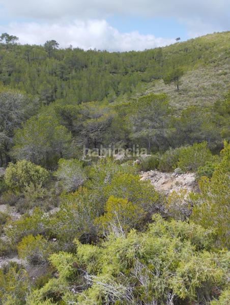 Foto f741a7ed-eca9-40e0-ade2-cdd1d41e58da. Maison dans polígono 14 14 dans Montmell (El)