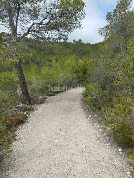 Foto ff40793b-ba5c-4a13-8e53-cc6bade157ea. Maison dans polígono 14 14 dans Montmell (El)