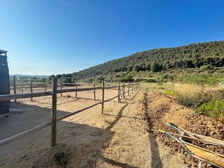 Fondo rustico in Albinyana. Espectacular terreno de 13.000 metros !! cerca de todos los serv