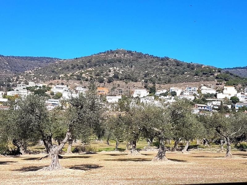 Foto 86177567-0311-44d3-a1b1-40e87b4d782b. Terreny residencial a Palau-saverdera