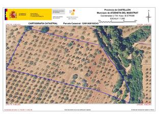 Finca rústica a Atzeneta del Maestrat. Gran parcela para construir vivienda aislada unifamiliar.