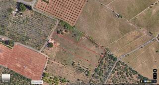 Finca rústica a Partida bovalar 157. Suelo/terreno en venta en castellón, zona nuevo cementerio/uji-u
