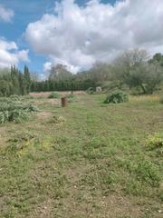 Finca rústica a Úbeda. Se vende parcela en san bartolome
