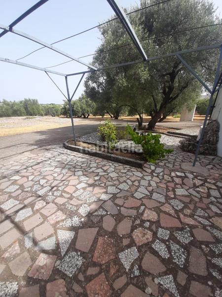 Foto 381e5e34-1d4f-4114-82b6-d53867b43e87. Chalet se vende chalet en la yedra en Baeza