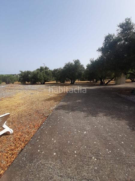 Foto 508ab485-5898-427c-9272-9f2e920757fd. Chalet se vende chalet en la yedra en Baeza