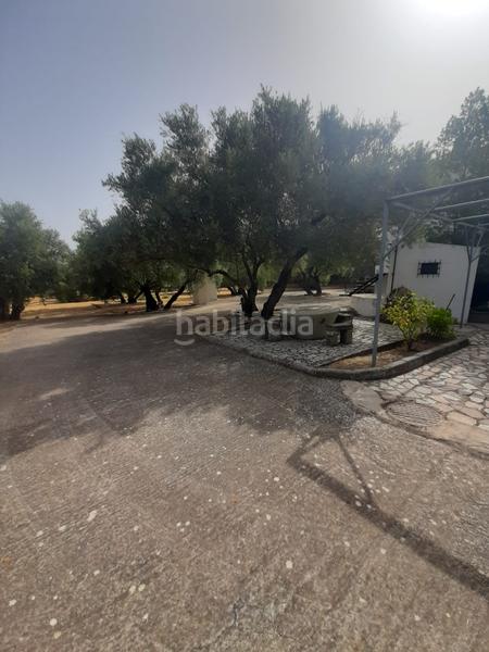 Foto 7bd490fd-e0ff-44d2-9bc9-a68b79babdfa. Chalet se vende chalet en la yedra en Baeza