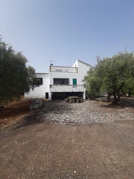 Foto a4d83e03-cf6c-4733-b5b4-a08e6aac014b. Chalet se vende chalet en la yedra en Baeza