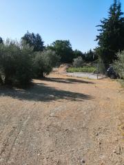 Finca rústica a Úbeda. Se vende parcela en el campillo