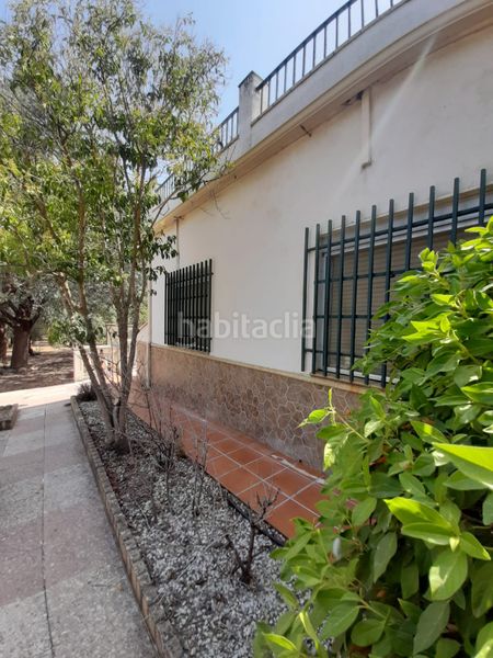 Foto 56355b67-7ceb-48ee-835a-50a4ca34dda8. Xalet amb xemeneia piscina a Torreperogil