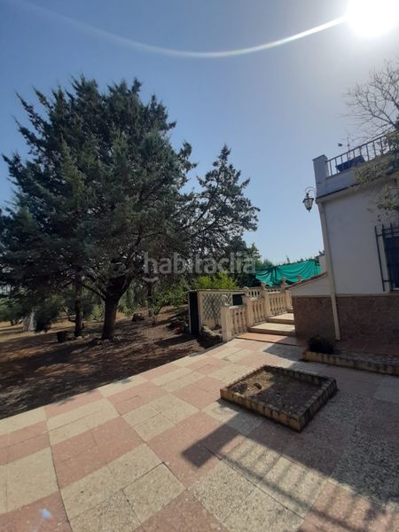 Foto 5d97bfdd-d86d-4584-8677-dd8867559e44. Xalet amb xemeneia piscina a Torreperogil