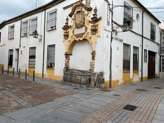 Lloguer Pis a Sta. Marina - San Andrés - San Pablo - San Lorenzo