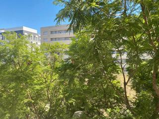 Location Appartement  Calle bulevar hernán ruiz