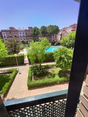 Lloguer Pis  Avenida de manolete