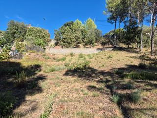 Terreny residencial a Carrer de les Flors 372