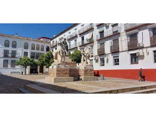 Pis a Sta. Marina - San Andrés - San Pablo - San Lorenzo. Piso santa marina
