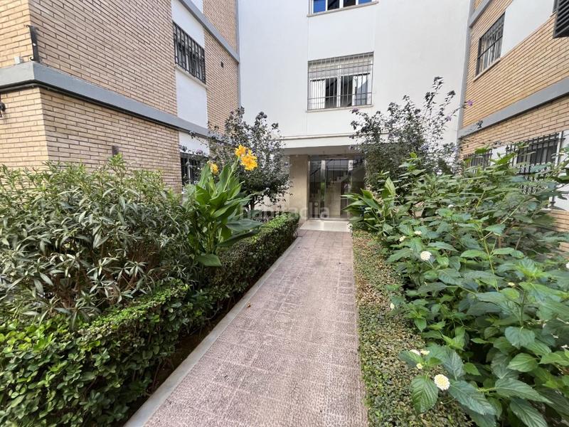 Foto 97695c65-3ac5-4bae-93f3-c4bd3833055f. Flat in Santa Rosa - Valdeolleros Córdoba