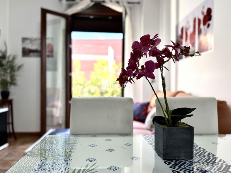 Foto 42c4bdd8-f4f1-421a-a9c5-e3a3f0dd2e93. Pis a casco histórico - ribera - san basilio Córdoba