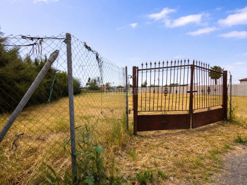 Foto 6e778933-3d57-430d-acb3-a9d3f10a3ffd. Finca rústica a El Higuerón Córdoba