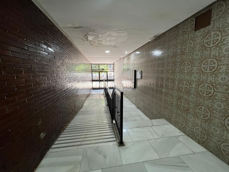 Foto 4e148146-3016-41b8-81c6-73c9751ed4d3. Pis a Viñuela - Rescatado Córdoba