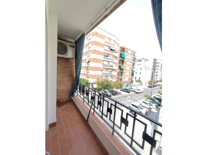 Foto 6fdf6f64-db0a-4a00-aa20-73d62621184a. Pis a Ciudad Jardín - Zoco Córdoba