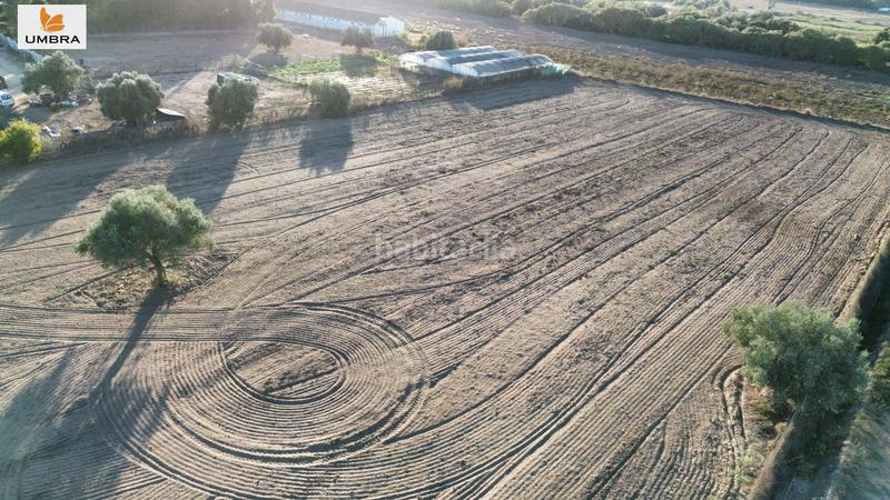 Foto 1f2ce9cc-dd89-4e4e-a772-cfab38dbef37. Fondo rustico in calle berlanguilla 125 in Parque Atlántico - Ronda este Jerez de la Frontera