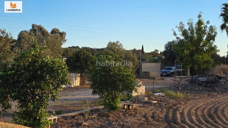 Foto 79a95e15-cda5-4aaf-99bc-04e5268c0e29. Fondo rustico in calle berlanguilla 125 in Parque Atlántico - Ronda este Jerez de la Frontera