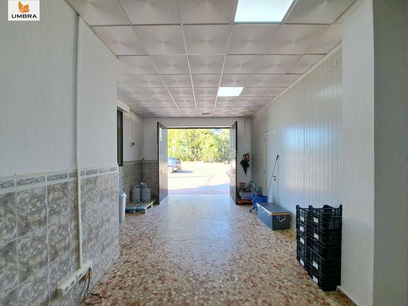 Foto 8d4642d7-223f-4ae9-86d9-b053e08d39cb. Casa amb aparcament a Medina Sidonia