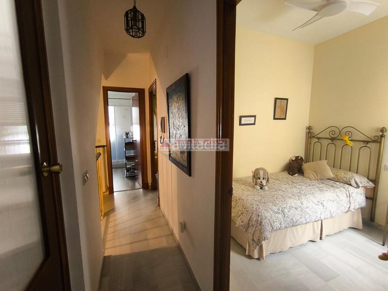 Foto 248d092b-6856-4974-a769-e8dd315747f8. Casa a Plaza de Toros - Ayuntamiento Puerto de Santa María (El)