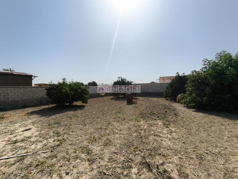 Foto c693cc46-9f10-4f24-a618-dbe82f64b29a. Chalet el puerto de santa maríachalet en Carretera de Sanlúcar - Sudamérica Puerto de Santa María (El)