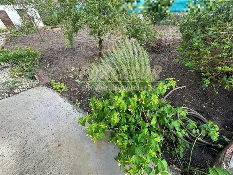 Foto 34395eda-8231-43a9-9e9e-f67c76da6f92. Haus in Alcolea Córdoba