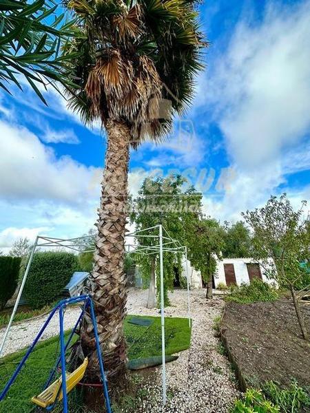 Foto 3b390b0e-a72a-4900-a752-7c39b94f0f0a. Haus in Alcolea Córdoba